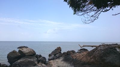 French Guiana