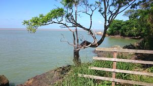 French Guiana